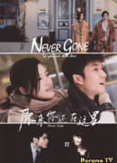 Never Gone