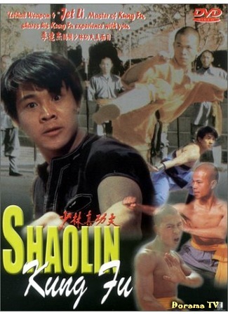 дорама Shaolin Kung Fu (Тайное боевое искусство Шаолиня: Shao Lin zhen gong fu) 03.08.18