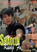 Shaolin Kung Fu