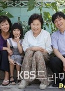 Drama Special - Last Flashman