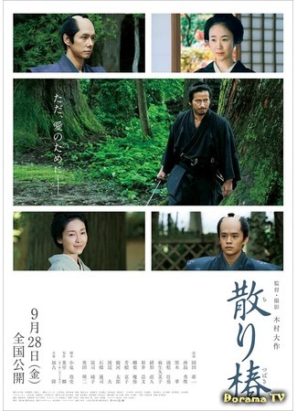 дорама Samurai&#39;s Promise (Падающая камелия: Chiri Tsubaki) 17.09.18