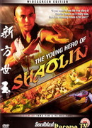 The Young Hero Shaolin