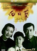 Sunflower (2005)