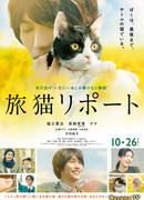 The Travelling Cat Chronicles