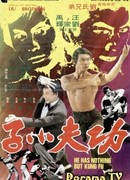 He Has Nothing But Kung Fu