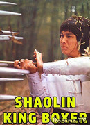 The Shaolin Kingboxer