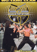 Ninja Over the Great Wall