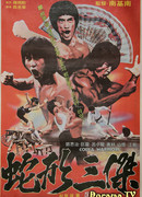 The Clones of Bruce Lee