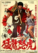 Bruce and Dragon Fist