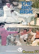 The Big Risk