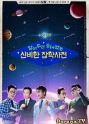 The Dictionary of Useless Knowledge