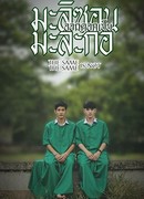 The same is not the same