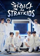 Finding Stray Kids