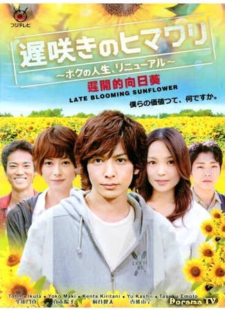 дорама Late Blooming Sunflower (Поздно расцветший подсолнух: Osozaki no Himawari) 28.04.19