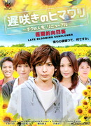 Late Blooming Sunflower