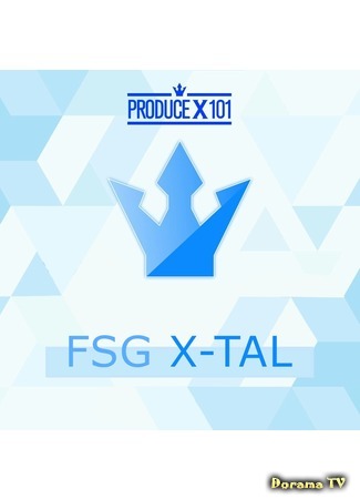 Переводчик FSG X-TAL 08.05.19