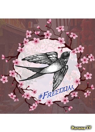 Переводчик #Freedom 17.06.19