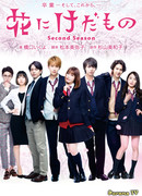 Flower and The Beast 2