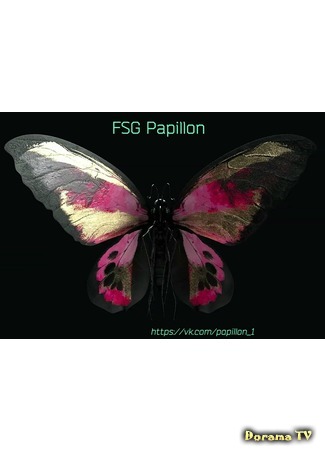 Переводчик FSG Papillon 19.10.19