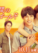 Marigold in 4 minutes