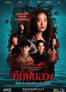 Sleepless Society: Insomnia