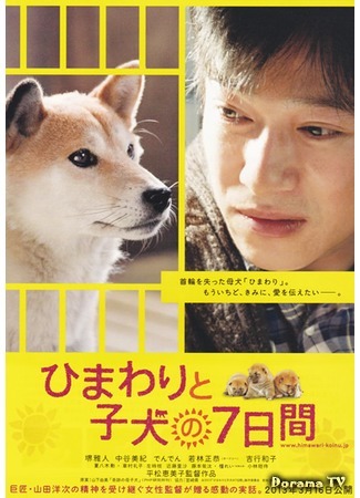 дорама 7 Days of Himawari &amp; Her Puppies (7 дней Химавари и ее щенков: Himawari to Koinu no Nanokakan) 12.01.20