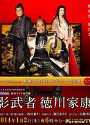 Shadow Warrior Tokugawa Ieyasu