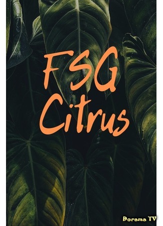 Переводчик FSG Citrus 18.04.20