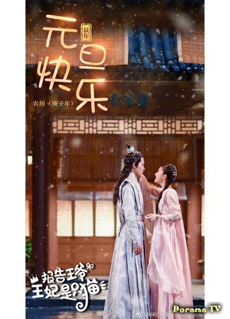 дорама My Fantastic Mrs. Right (Принцесса-кошка: Baogao wangye wangfei shi zhi mao) 28.04.20