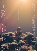 Our Lies and Truths Documentary of Keyakizaka46