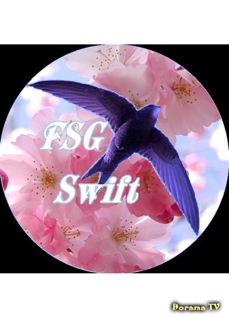 Переводчик FSG Swift 08.05.20