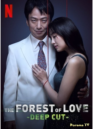 дорама The Forest of Love: Deep Cut (Лес любви: Ещё глубже: Ai Naki Mori de Sakebe: Deep Cut) 16.05.20