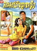 Magical Love in the Countryside