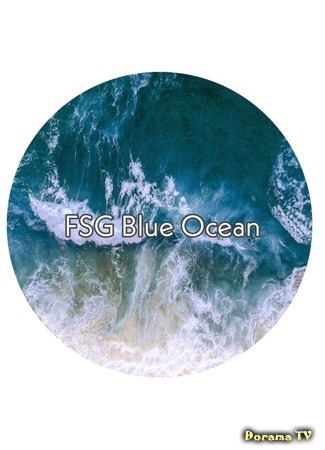 Переводчик FSG Blue Ocean 29.05.20