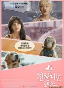 Monkey and Dog Romance