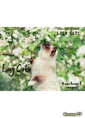 Переводчик FSG Lazy Cats 25.06.20