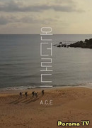 A.C.E On The Road