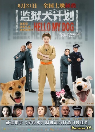 дорама Hello My Dog (Здравствуй, пёсик!: Jian yu quan ji hua) 01.09.20