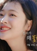 Docu Flex: Why was Sulli Uncomfortable?