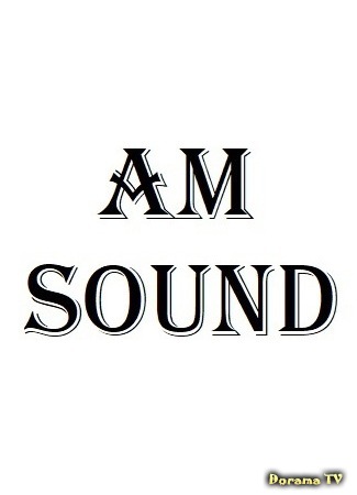 Переводчик AM-Sound 09.10.20