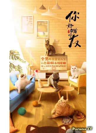 дорама My Catmate (Мой котейка: Ni Hao Miao Shi You) 03.11.20
