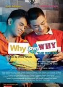 Why Love Why