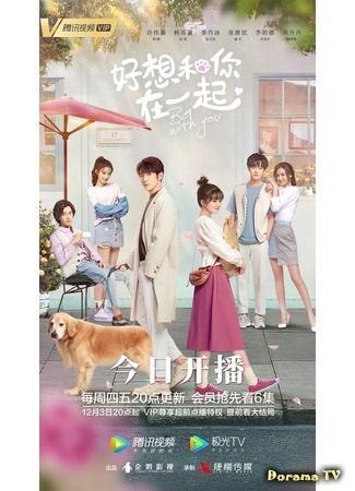 дорама Be With You (2020) (Быть с тобой: Hao Xiang He Ni Zai Yi Qi) 20.11.20