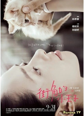 дорама In Case Of Love (Бродячий маленький принц: Jie Jiao De Xiao Wang Zi) 27.11.20