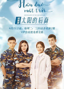 Descendants of the Sun (Vietnam)