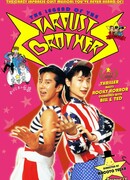 The Legend of the Stardust Brothers