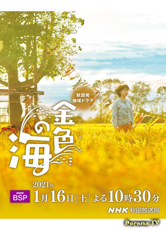 дорама Yellow Sea (2021) (Желтое море: Kin Iro no Umi) 24.01.21