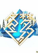 The Winter Dream Promise