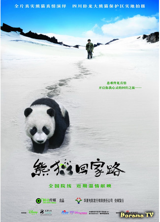 дорама Trail of the Panda (След панды: Xiongmao hui jia lu) 21.03.21
