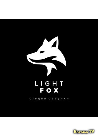 Переводчик Light Fox 27.05.21